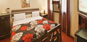 TG Rooms Airport Zone 1, New Delhi